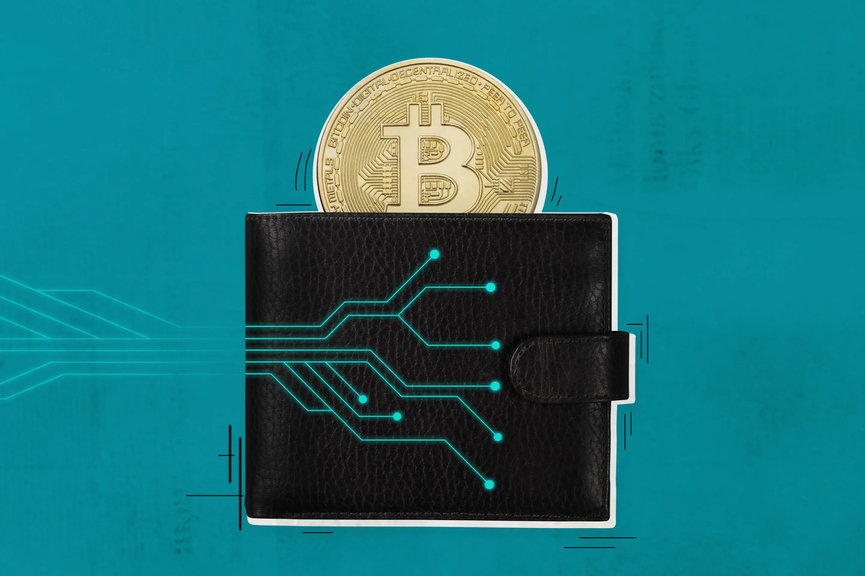 Best Crypto Wallets for 2026: Top 10 Secure Options for Beginners