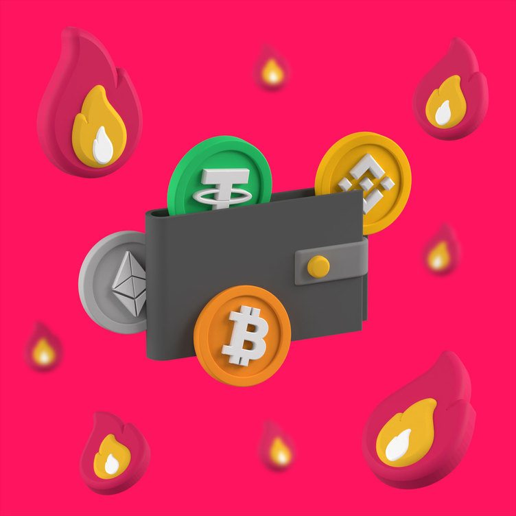 Crypto Wallets for Beginners in