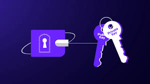 public key cryptocurrency example
