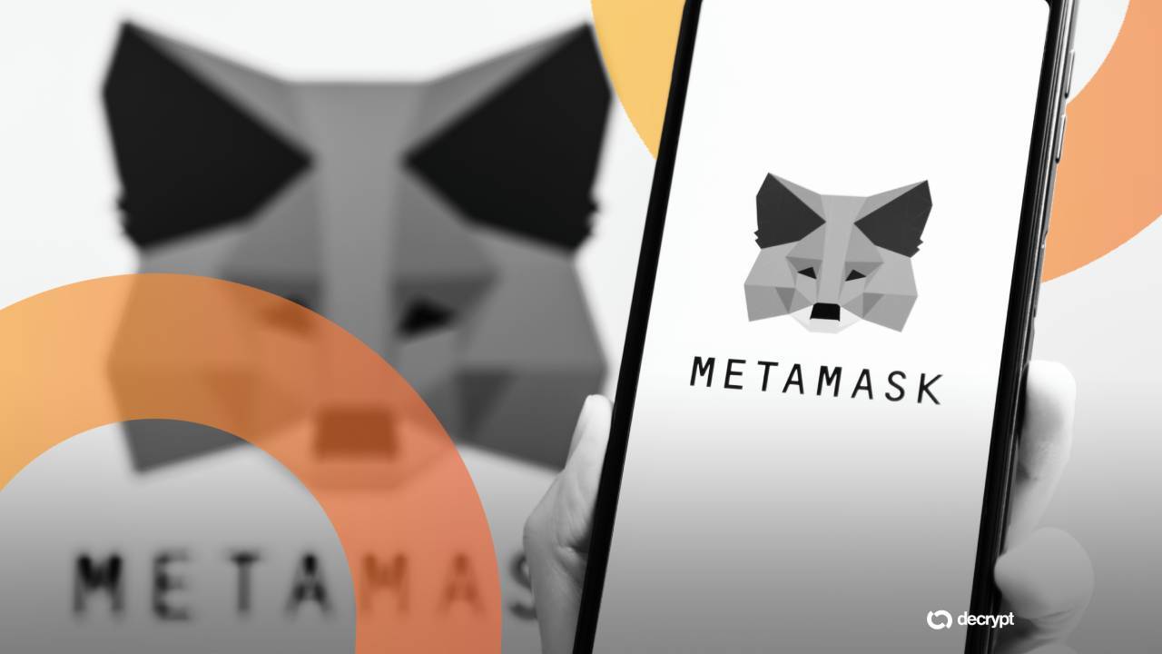 MetaMask ecosystem illustration