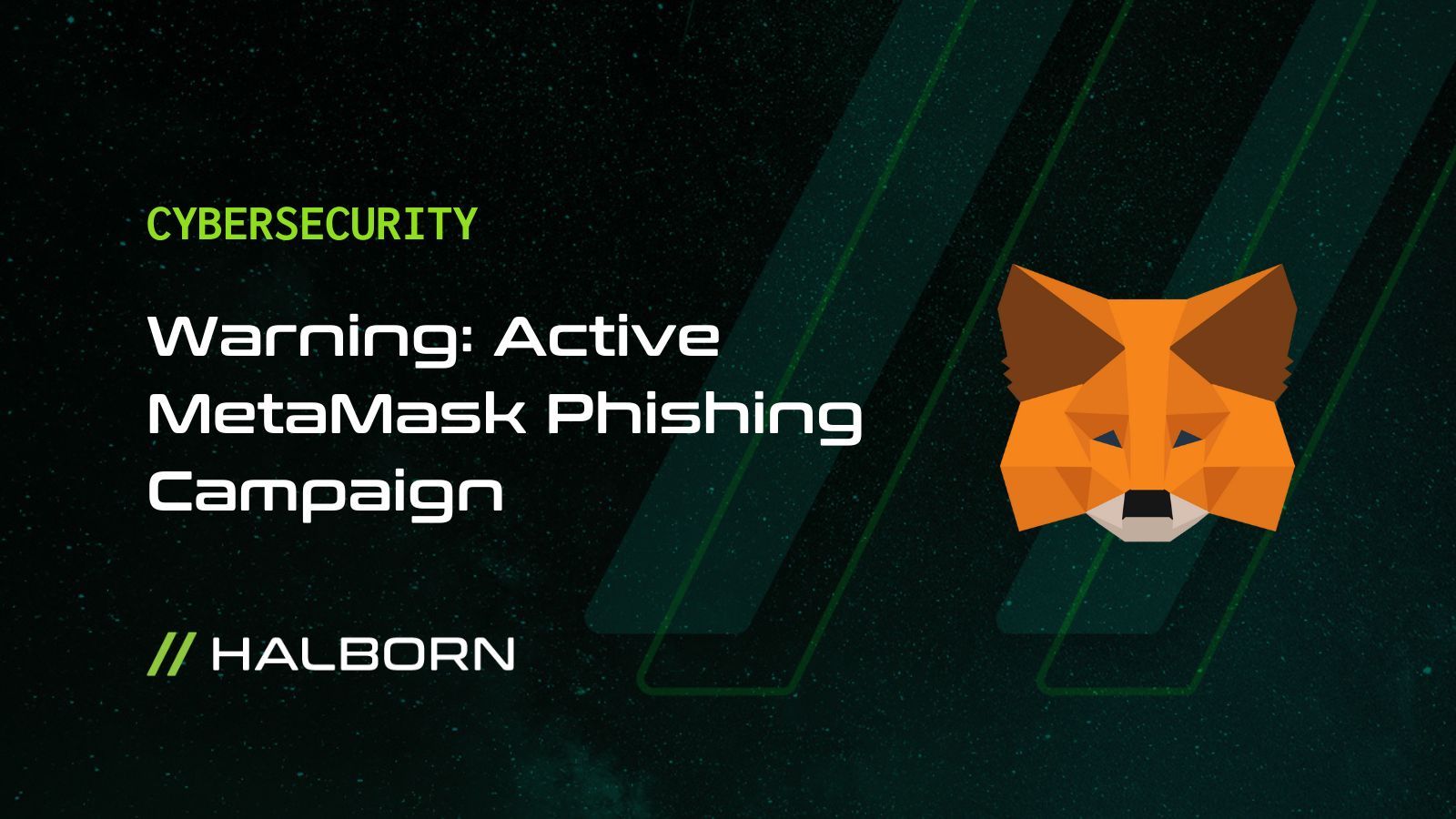 MetaMask anti-phishing warning