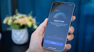 Bank transfer, debit card, and Apple Pay icons